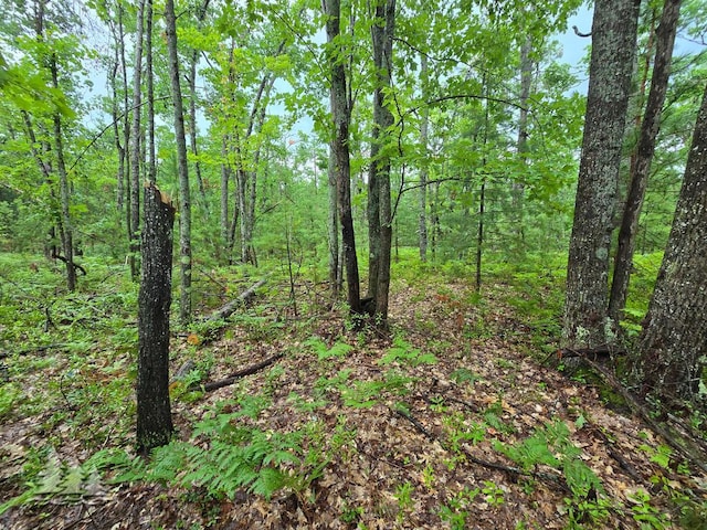 VL Lake May Rd, Hawks, MI 49743 - photo 16