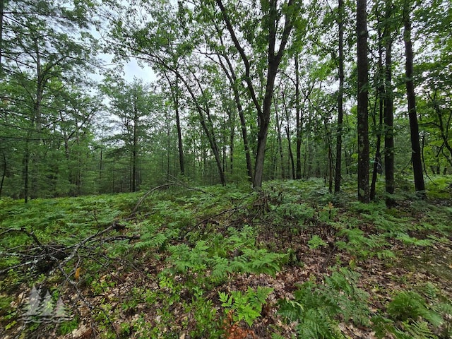 VL Lake May Rd, Hawks, MI 49743 - photo 33