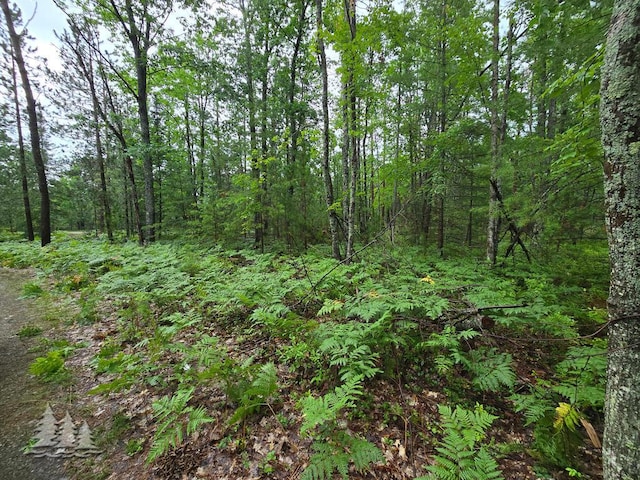VL Lake May Rd, Hawks, MI 49743 - photo 34