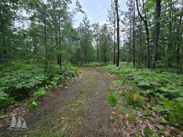 VL Lake May Rd, Hawks, MI 49743 - photo 35