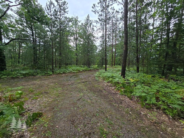 VL Lake May Rd, Hawks, MI 49743 - photo 36