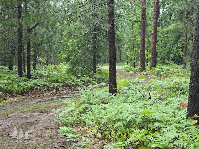 VL Lake May Rd, Hawks, MI 49743 - photo 37