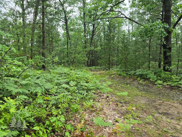 VL Lake May Rd, Hawks, MI 49743 - photo 38