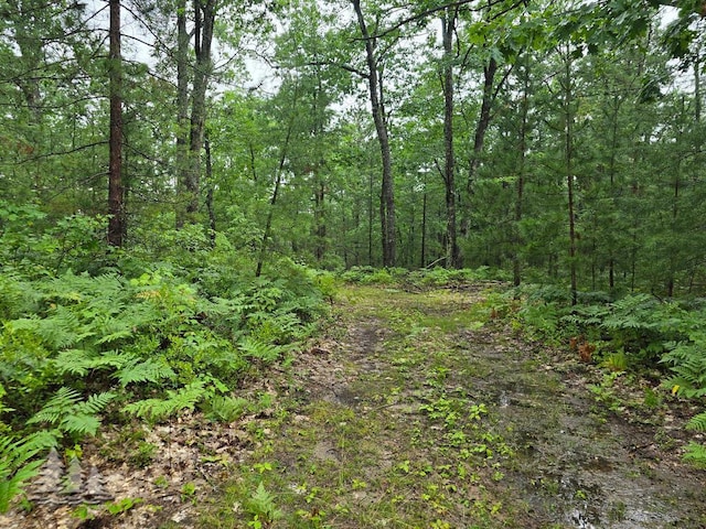 VL Lake May Rd, Hawks, MI 49743 - photo 39