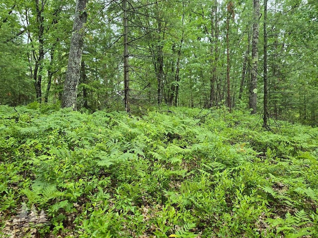 VL Lake May Rd, Hawks, MI 49743 - photo 40