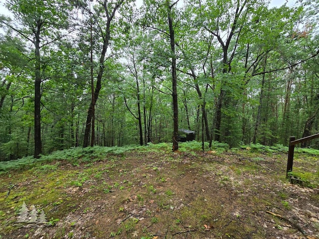 VL Lake May Rd, Hawks, MI 49743 - photo 41