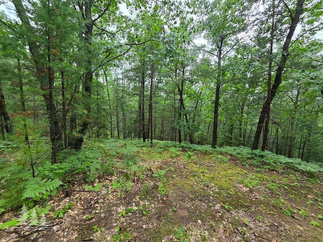 VL Lake May Rd, Hawks, MI 49743 - photo 42