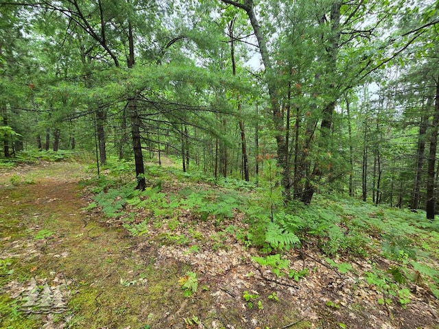 VL Lake May Rd, Hawks, MI 49743 - photo 43