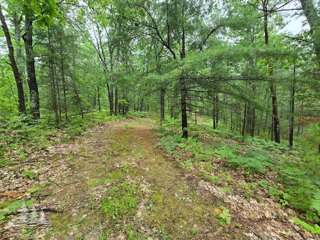 VL Lake May Rd, Hawks, MI 49743 - photo 44