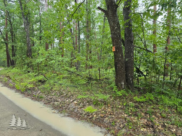VL Lake May Rd, Hawks, MI 49743 - photo 47