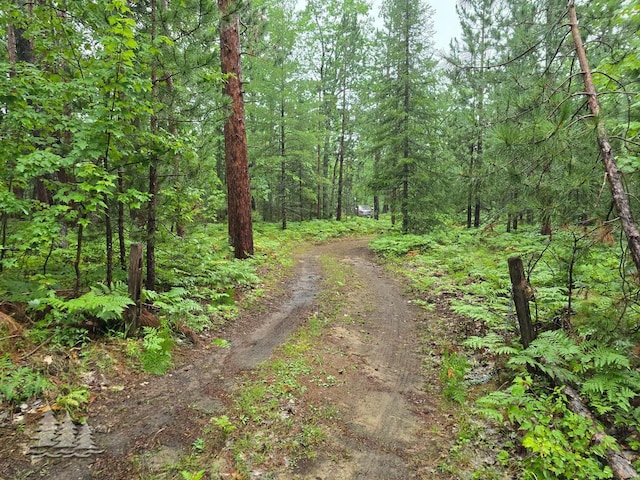VL Lake May Rd, Hawks, MI 49743 - photo 48