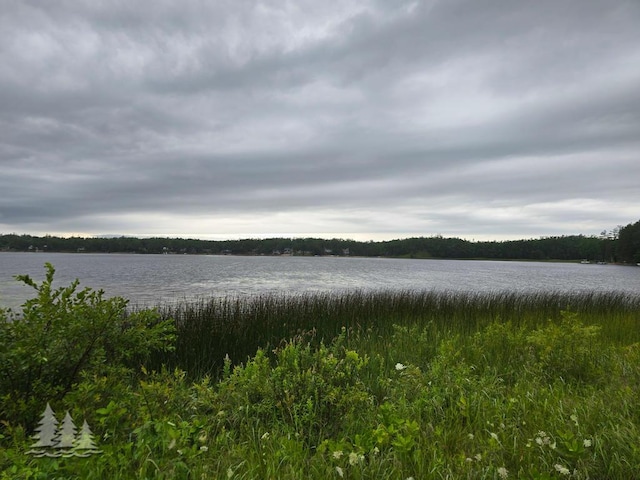 VL Lake May Rd, Hawks, MI 49743 - photo 22
