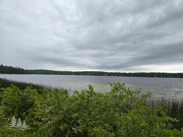 VL Lake May Rd, Hawks, MI 49743 - photo 23