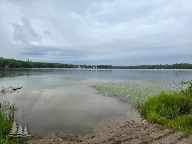 VL Lake May Rd, Hawks, MI 49743 - photo 31