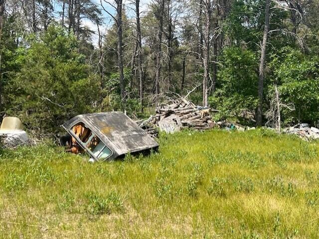 599 Whitetail Trl, Grayling, MI 49738 - photo 35