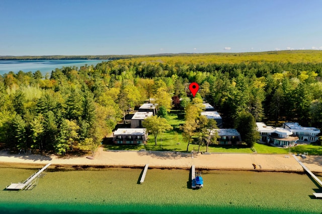 126 Flag Point Dr, Roscommon, MI 48653 - photo 39