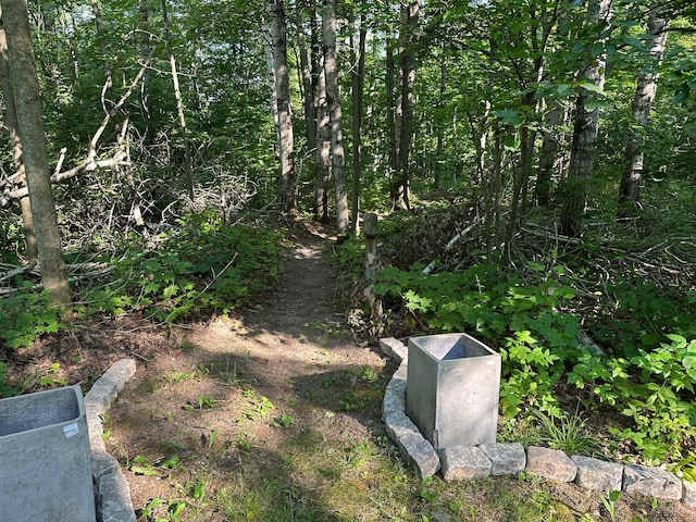 6092 Wilderness Dr, Mancelona, MI 49659 - photo 23