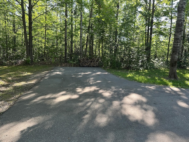 6092 Wilderness Dr, Mancelona, MI 49659 - photo 25