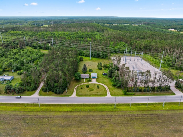 5283 Alba Rd, Gaylord, MI 49735 - photo 35