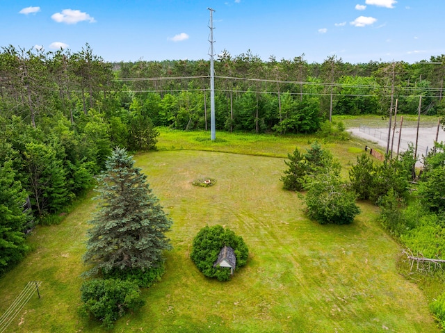 5283 Alba Rd, Gaylord, MI 49735 - photo 37