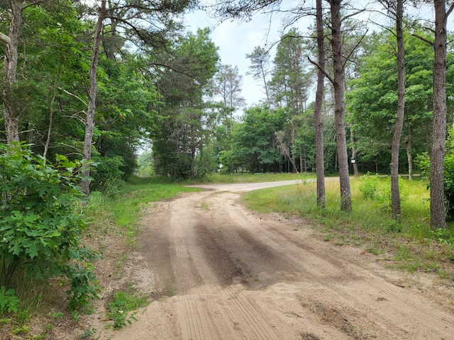 8294 Julie Ln, Grayling, MI 49738 - photo 8