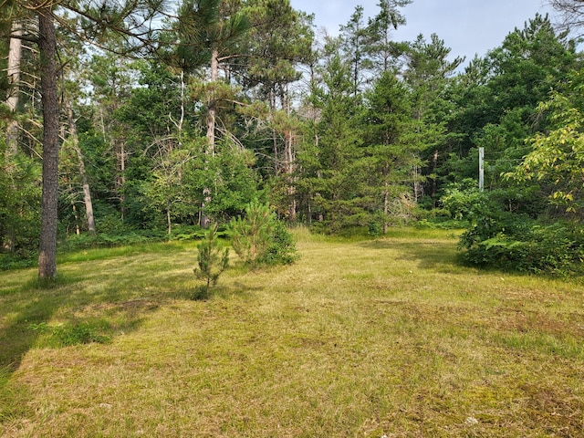 8294 Julie Ln, Grayling, MI 49738 - photo 90