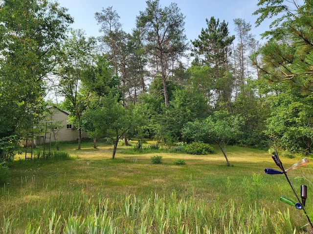 8294 Julie Ln, Grayling, MI 49738 - photo 92