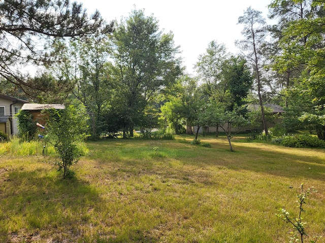 8294 Julie Ln, Grayling, MI 49738 - photo 93