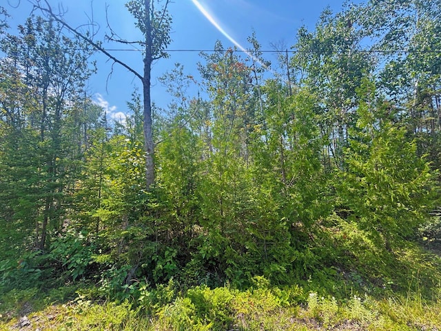 LOT64 N Bay, Presque Isle, MI 49777 - photo 1