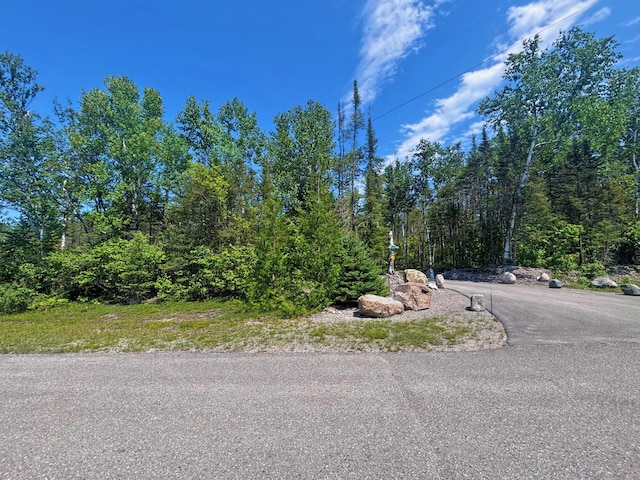 LOT64 N Bay, Presque Isle, MI 49777 - photo 3
