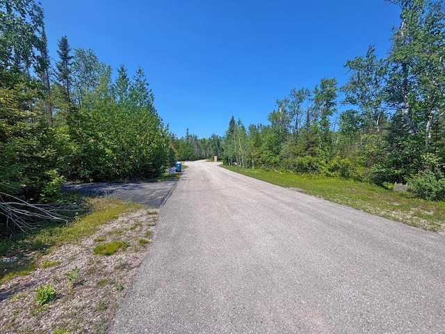 LOT64 N Bay, Presque Isle, MI 49777 - photo 4