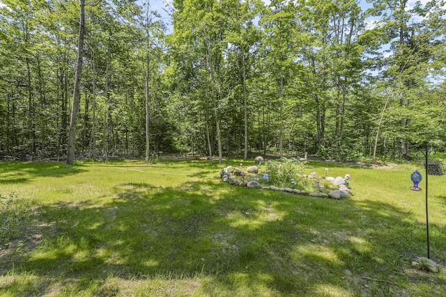6161 Twin Peaks Rd, Frederic, MI 49733 - photo 33