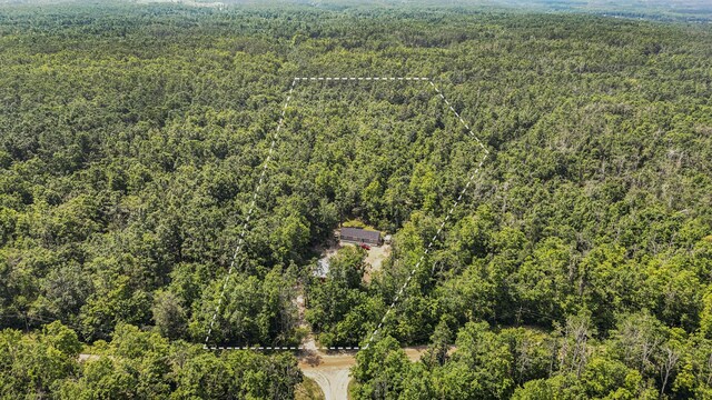 6161 Twin Peaks Rd, Frederic, MI 49733 - photo 34