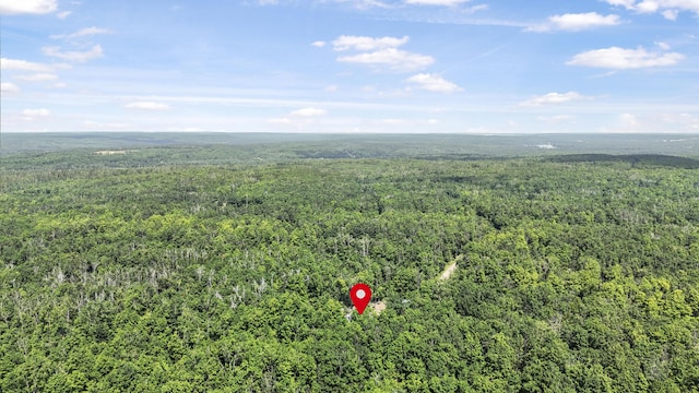 6161 Twin Peaks Rd, Frederic, MI 49733 - photo 35
