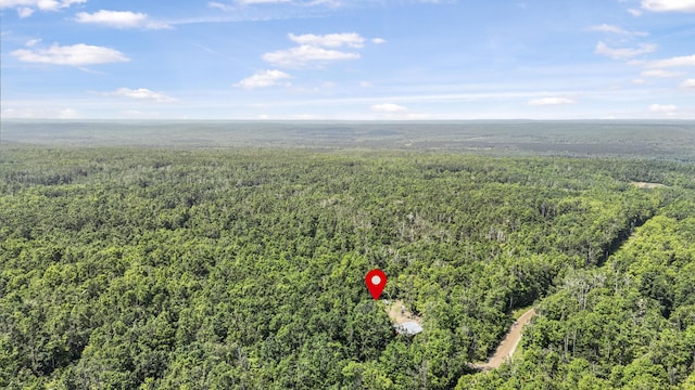 6161 Twin Peaks Rd, Frederic, MI 49733 - photo 36