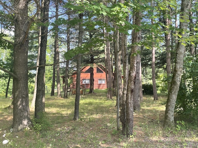20908 Lakola Rd, Tustin, MI 49688 - photo 2