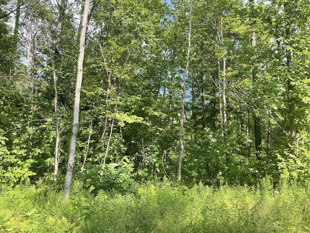20908 Lakola Rd, Tustin, MI 49688 - photo 44