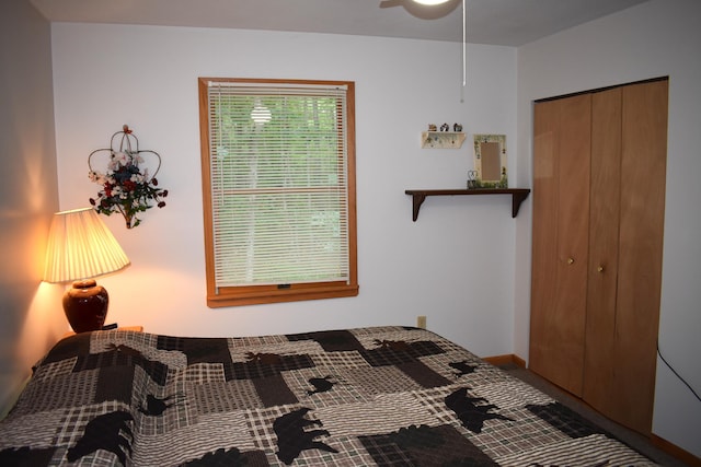2540 E Mullett Lake Rd, Indian River, MI 49749 - photo 13