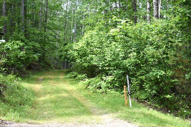 2540 E Mullett Lake Rd, Indian River, MI 49749 - photo 19