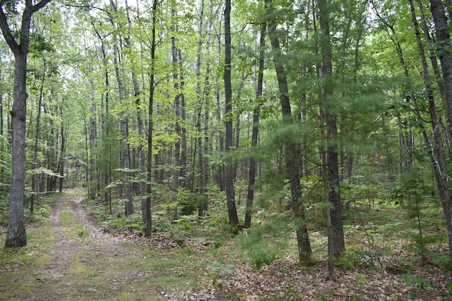 2540 E Mullett Lake Rd, Indian River, MI 49749 - photo 20