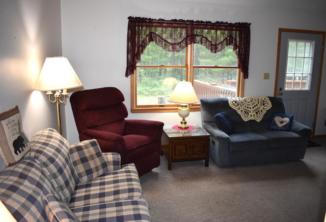 2540 E Mullett Lake Rd, Indian River, MI 49749 - photo 6