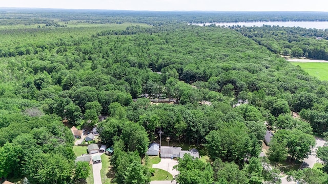 112 Vienna St, Houghton Lake, MI 48629 - photo 42