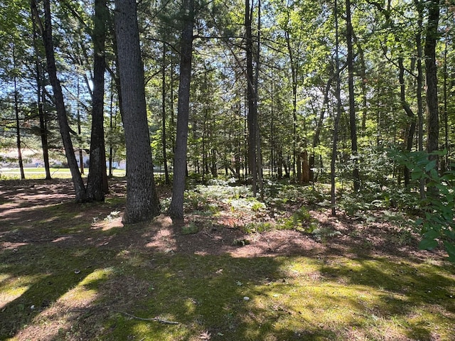 112 Vienna St, Houghton Lake, MI 48629 - photo 41
