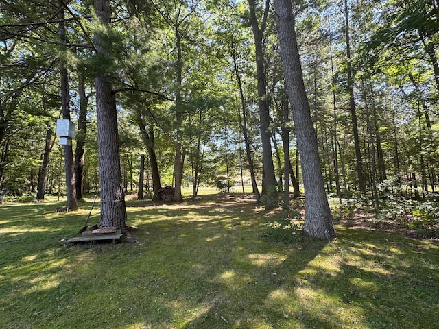 112 Vienna St, Houghton Lake, MI 48629 - photo 40