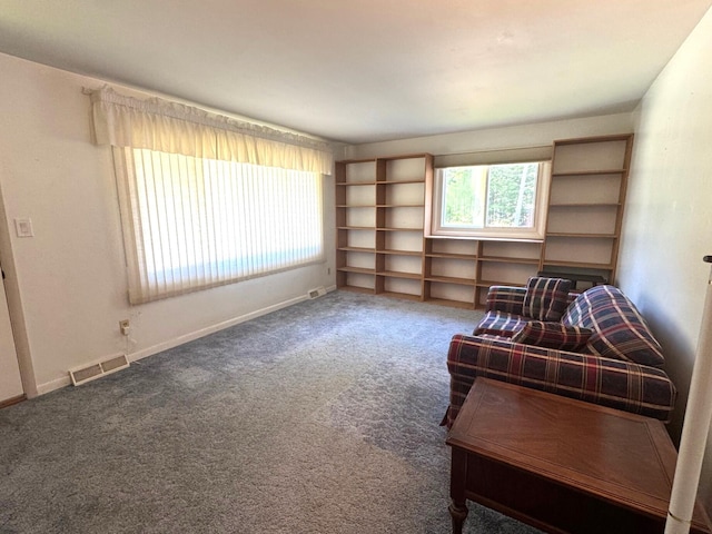 112 Vienna St, Houghton Lake, MI 48629 - photo 19