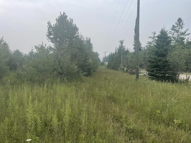 V/L Reams Rd, Indian River, MI 49749 - photo 2