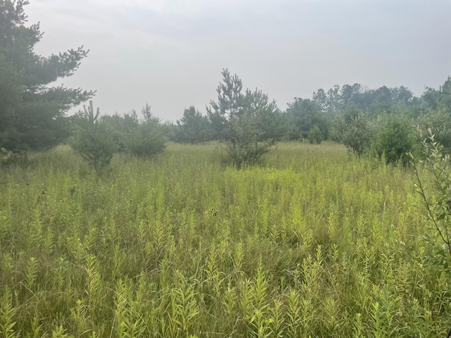 V/L Reams Rd, Indian River, MI 49749 - photo 3