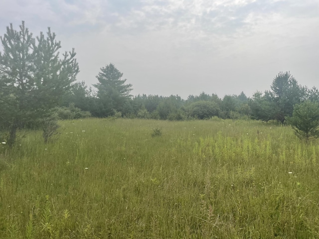 V/L Reams Rd, Indian River, MI 49749 - photo 4