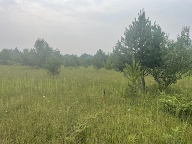 V/L Reams Rd, Indian River, MI 49749 - photo 5