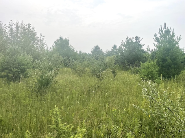 V/L Reams Rd, Indian River, MI 49749 - photo 7